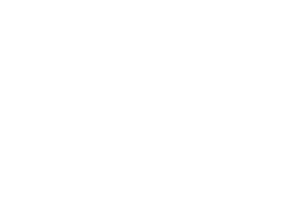 Neural Properties